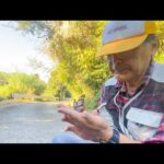 うちの園長がこの蝶々を約30年間も追い続ける理由とは(YouTube)