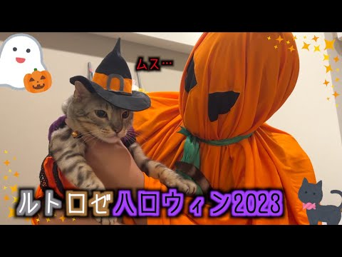 ちびちゃんずのお家ハロウィン🎃2023(YouTube)
