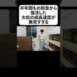 半年間もの拒食から復活した大蛇の成長速度が異常すぎる(YouTube)