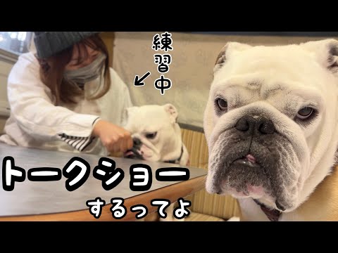 別府・阿蘇弾丸車中泊旅/4歳のおじさん犬が大観衆前で一世一代のワンマン・トークショーをする事になりました…(YouTube)