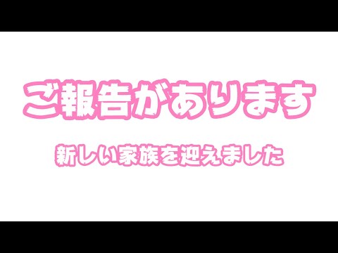皆様にご報告がございます 新しい家族を迎えました  【2023 11 08-2】(YouTube)