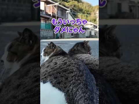 ずっとくっついていたいの！！(YouTube)