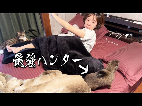 寝坊したままを起こす最強動物！！(YouTube)