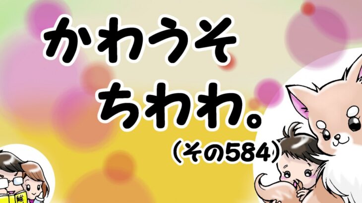 かわうそちわわ。【その584】「落ちたプレゼントが届く結末」(ブログ)