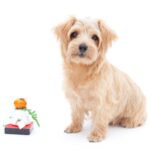 犬は『おもち』を食べても大丈夫？絶対にしてはいけない与え方や注意すべきポイントを解説(ブログ)