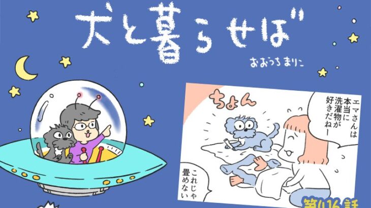 犬と暮らせば【第416話】「さすがにムリがある」(ブログ)