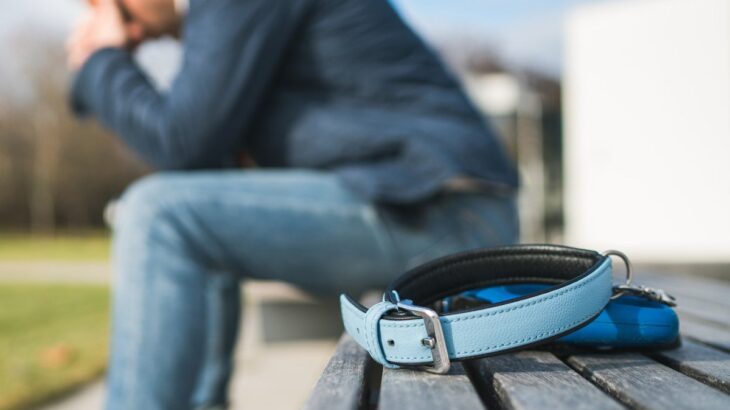 愛犬を失うことで訪れる『ペットロス』　辛すぎると言われる３つの理由と向き合う方法(ブログ)