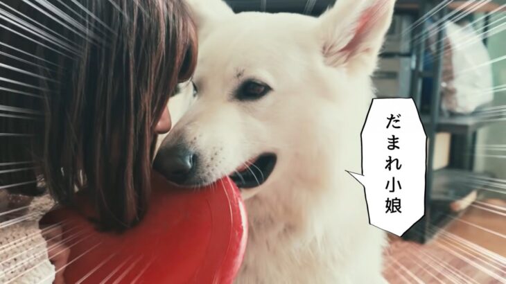 温厚な大型犬が怒った結果…飼い主を守ろうとする子犬『優しすぎる』と絶賛の声「状況を理解してる」「リアルもののけ姫やん」(ブログ)