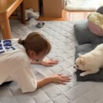 わんこの『ヘッ！』をマネし続けた結果…謎の遊びが癖になると話題に 「新しい技になってる」「テンションMAX」の声(ブログ)