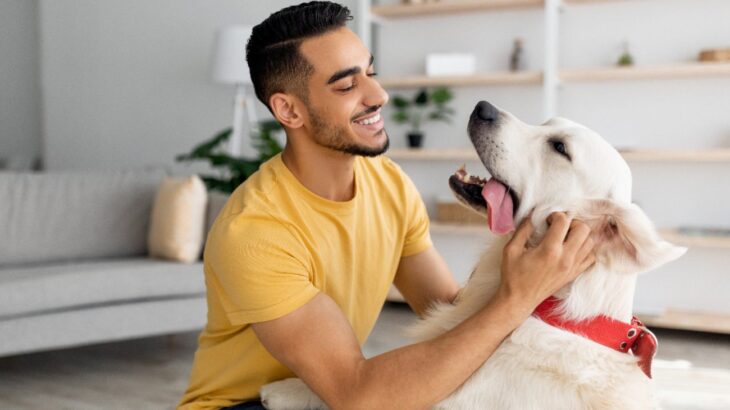 犬の幸せに必要な『5つの条件』　最優先で考えるべきことに「人間基準はNG」「当たり前を当たり前と思わないように」(ブログ)