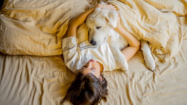 犬があなたのベッドに入りたがる５つの理由とは？可愛すぎる心理に「一緒に寝たい」「だからいつもくるんだね」(ブログ)