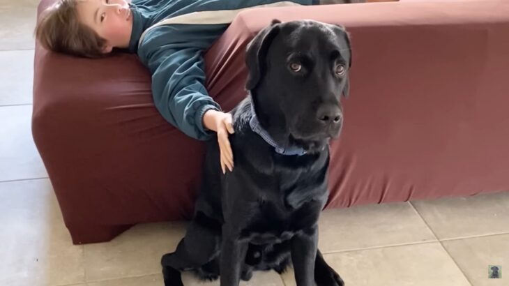 叱られている兄を守ろうとする犬…「泣ける」「絆を感じました」　優しさに感動するも、まさかのオチに「爆笑しました」の声(ブログ)