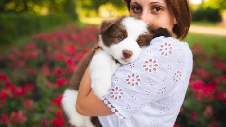 愛犬を『優しい性格』に育てるために飼い主がすべき工夫とポイントに「子育てと同じだね」「飼い主次第でみんな良い子に育つ」(ブログ)