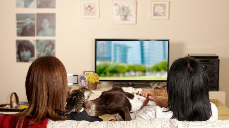 犬や猫と暮らしている若い女性は家族とのつながりが強いという研究結果(ブログ)