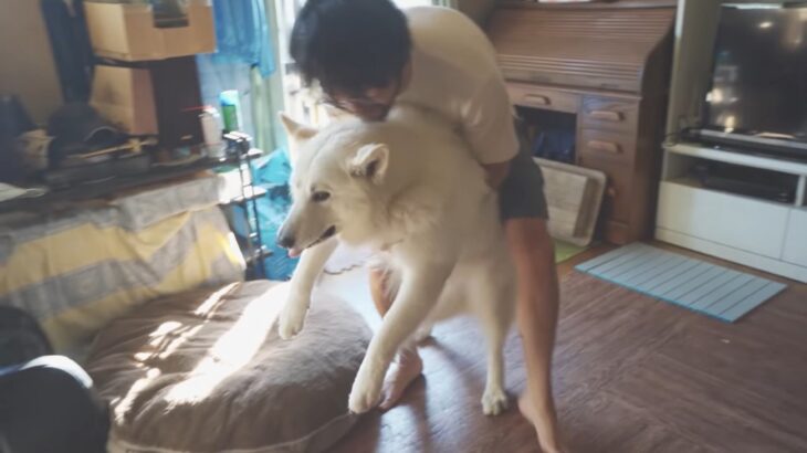 お風呂に入りたくない犬VS飼い主の『エンドレスの攻防戦』が話題！「コントみたいw」「強制連行されるときの悲しそうな顔よw」(ブログ)