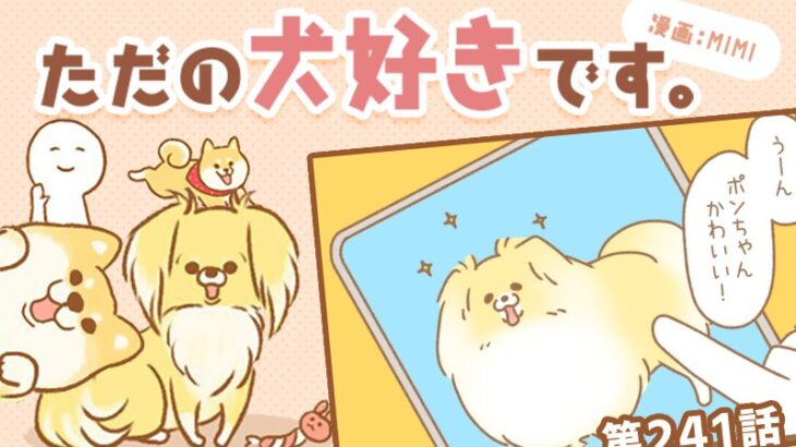 ただの犬好きです。【第241話】「今年は･･･」(ブログ)
