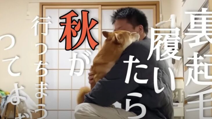 もう秋は通り過ぎたのか…？『裏起毛』に興味がある柴犬さんとあるじのやり取りに爆笑の渦「表もふに笑った」「爽快だね」(ブログ)