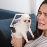 『犬の飼い主に向いていない人』の特徴4選　飼う前に必ず考えるべきライフスタイルの変化とは(ブログ)