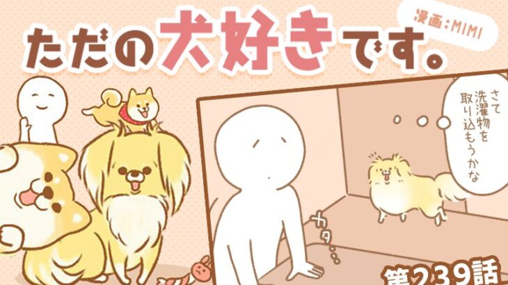 ただの犬好きです。【第239話】「監視中」(ブログ)