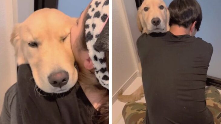 ママの時→『僕も好き』パパの時→『スンッ』ハグされた時の表情があからさま過ぎる！？大型犬が見せる行動に共感と爆笑の声(ブログ)