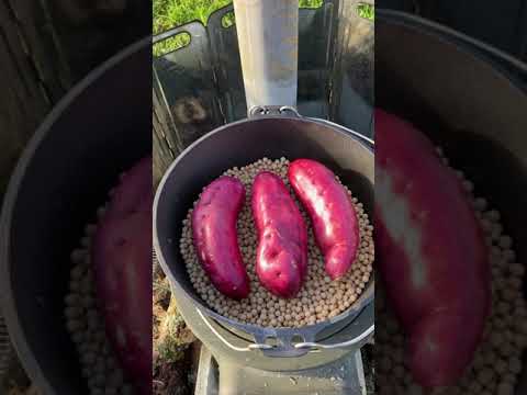 犬達に大好評！石焼き芋(YouTube)
