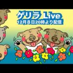 ゲリラライブ12月８日20時より配信(YouTube)