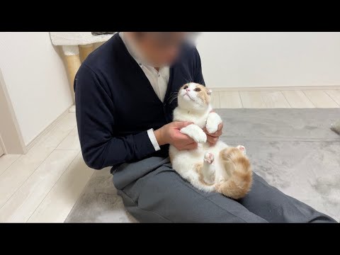 生まれて初めて父と猫が対面したらまさかのこうなってました…笑(YouTube)