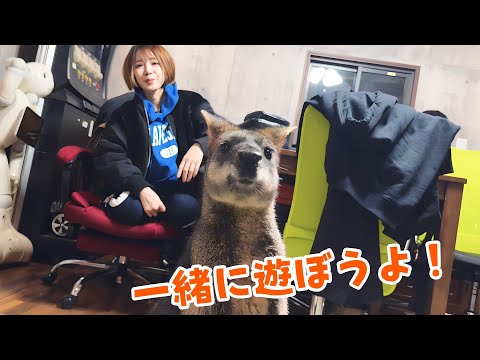 来客が来たので思わず襲っちゃいましたw(YouTube)