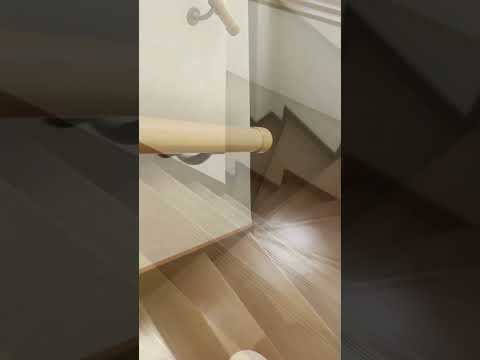 豆大福が愚痴ってるときの鳴き声 #ひのき猫 #cat #大福にゃん #ねこのだいふく(YouTube)