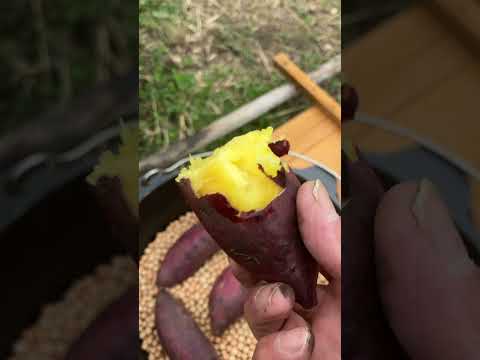 雨の中焼き芋出来上がりました(YouTube)
