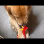 ウマイっ！！(YouTube)