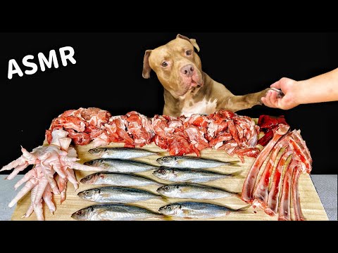 【耳が喜ぶ音】骨や魚を丸ごと食べるピットブルの咀嚼音が気持ち良すぎる(YouTube)