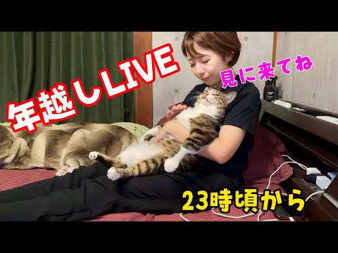 年越し生配信します！(YouTube)