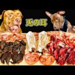 中毒注意⚠️骨付き肉をボリボリ食べるピットブルの咀嚼音がクセになる(YouTube)