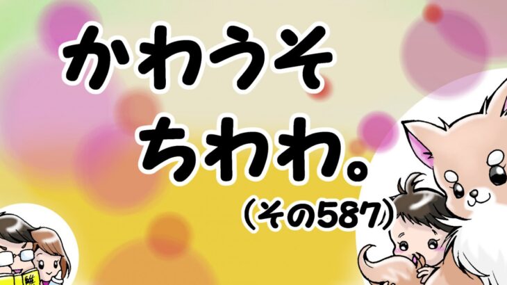 かわうそちわわ。【その587】「悩んで買ってもフィーちゃんの物になる」(ブログ)