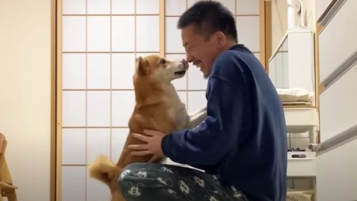あるじの好奇心に物申す柴犬さん　忍び寄る色気ある気配の正体とは…？「今日も笑った」「ニヤニヤしたわ」(ブログ)