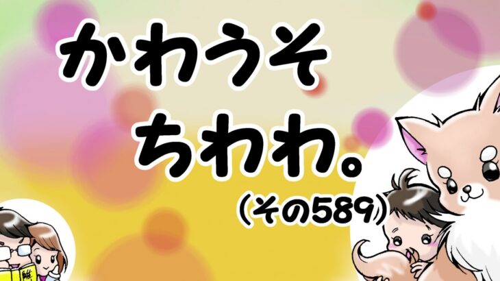 かわうそちわわ。【その589】「タイムロス原因はソファー」(ブログ)
