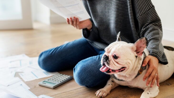 犬の病院代、1年でいくらくらいかかる？平均的な料金の目安と支出を抑えるためのコツ(ブログ)