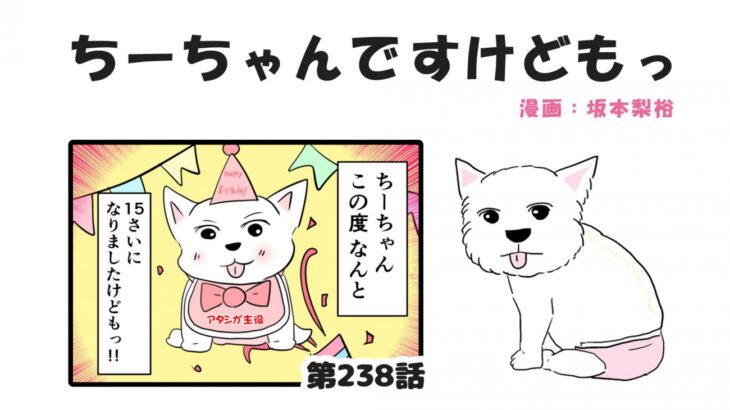 ちーちゃんですけどもっ【第238話】「15歳も頑張りますけどもっ」(ブログ)