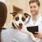 犬の運動機能の低下を早期に発見するための質問票を新開発【研究結果】(ブログ)