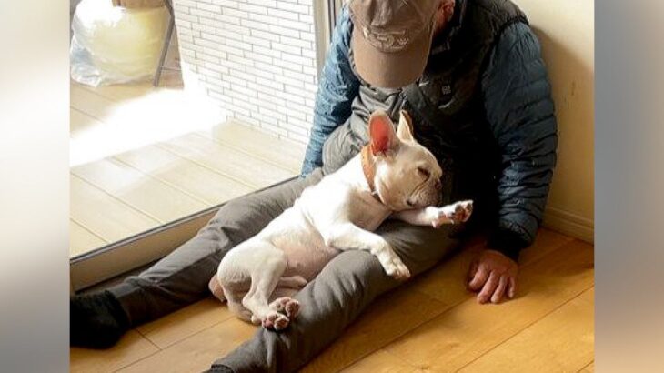 『おじいちゃんに寄り添って眠る犬』心温まる光景に絶賛の声「なんて幸せな時間」「2人だけの小さな世界」80万再生の注目集める(ブログ)