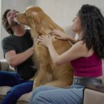 愛犬が飼い主以外の顔を舐めるのはやめさせたほうがいいの？やめさせるのではなく人間側が距離を取ろう(ブログ)