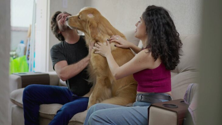 愛犬が飼い主以外の顔を舐めるのはやめさせたほうがいいの？やめさせるのではなく人間側が距離を取ろう(ブログ)