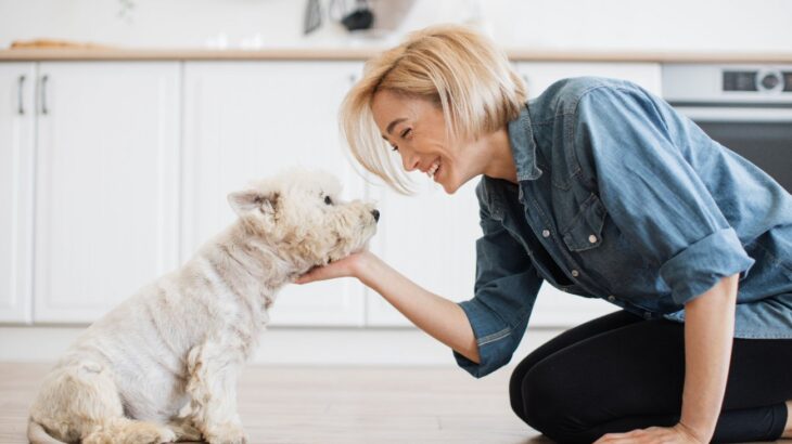 犬に『大好き』を伝える正しい方法5選　間違った伝え方は逆にストレスに繋がるかも…？(ブログ)