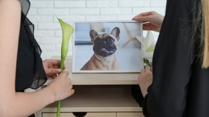 愛犬の葬式、具体的に何をすればいいの？必要な手続きや準備、葬儀の種類とは？(ブログ)