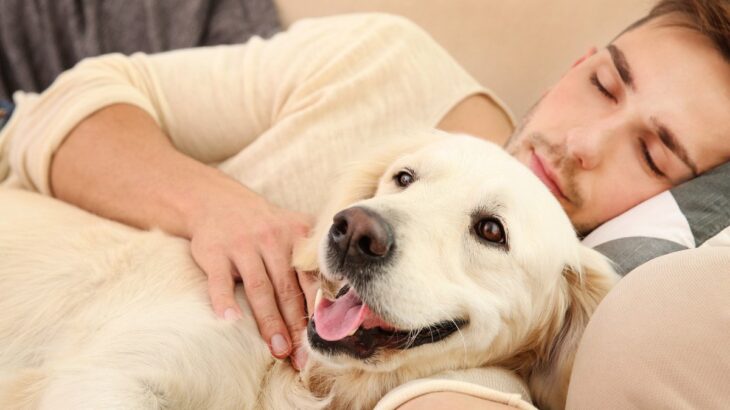 なぜ犬は『飼い主の腕枕』が好きなの？4つの理由に「尊すぎて無理」「いくらでも使ってください」(ブログ)