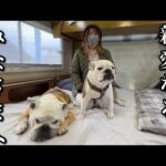 Youtubeをお休みします…(YouTube)
