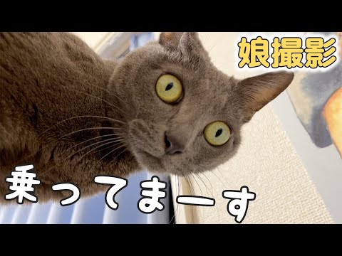 娘が好きすぎて背中に乗ってしまう猫ハムちゃん(YouTube)