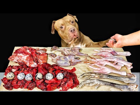 閲覧注意⚠️鶏の足やウズラを丸ごと食べる咀嚼音がクセになる(YouTube)