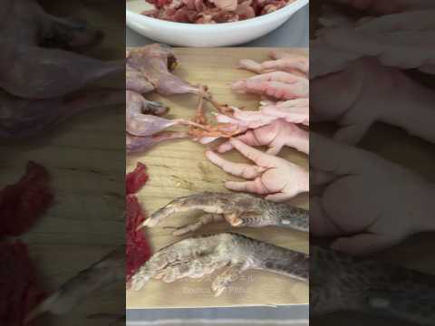 閲覧注意⚠️モミジをボリボリ食べるピットブル #ピットブル #咀嚼音 #pitbull(YouTube)